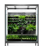 UNS Foresta exhibidor plantas emergidas